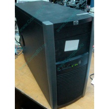 Двухядерный сервер HP Proliant ML310 G5p 515867-421 Core 2 Duo E8400 фото