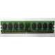 Модуль оперативной памяти 4096Mb DDR2 Patriot PSD24G8002 pc-6400 (800MHz) 
