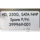 HP HD 250G SATA NLP Spare P/N 399699-001