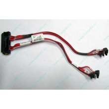 SATA-кабель для корзины HDD HP 451782-001 459190-001 для HP ML310 G5