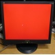 Монитор 19" ViewSonic VA903b (1280x1024) есть битые пиксели