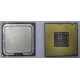 Процессор Intel Celeron D 336 (2.8GHz /256kb /533MHz) SL98W s.775
