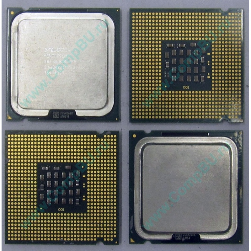 Процессоры сокета intel 775. Сокет lga775 процессоры. Процессор Intel Pentium 4 506 Prescott. Процессор soete775 Intel Pentium e2160. Пентиум 4 сокет 775.