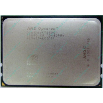 AMD Opteron 6128 OS6128WKT8EGO