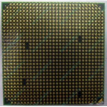 Процессор AMD Athlon 64300+ (1.8GHz) ADA3000IAA4CN s.AM2